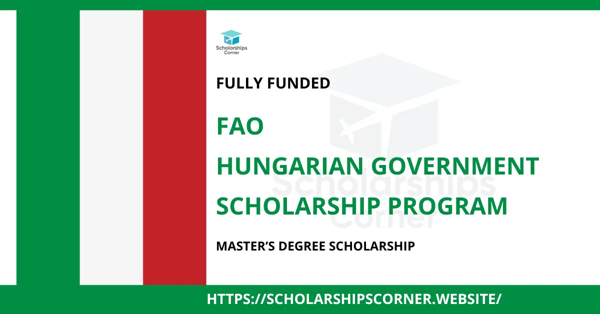 Hungarian Government Scholarship, hungary scholarships, europe scholarships