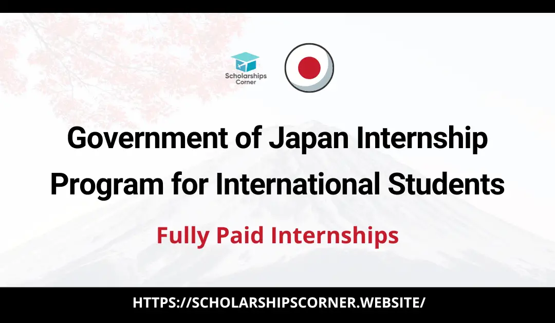 METI Japan Internship Program 2024 | METI Internship
