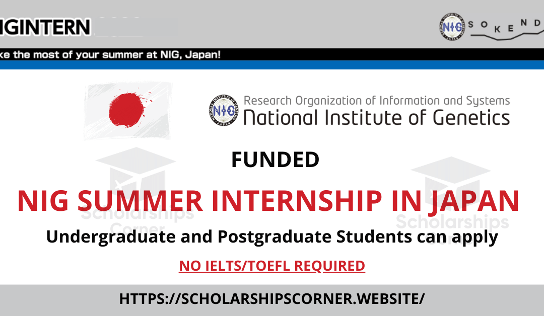 NIG Summer Internship in Japan 2024 | Funded