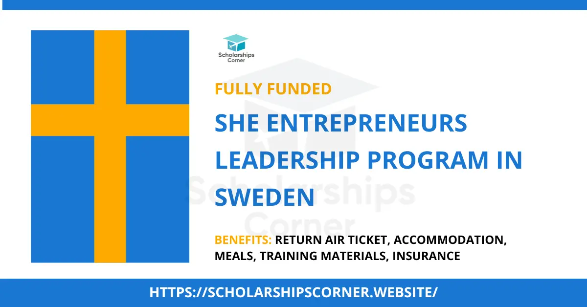 si leadership program, swedish institute leadership program, sweden scholarships