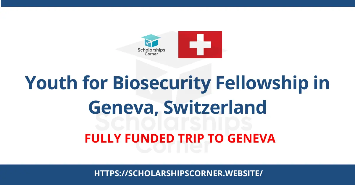 united nations fellowship, youth fellowship, united nations internships