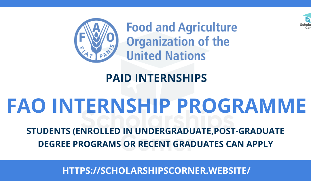 FAO Internship Programme 2023 | Paid Internship