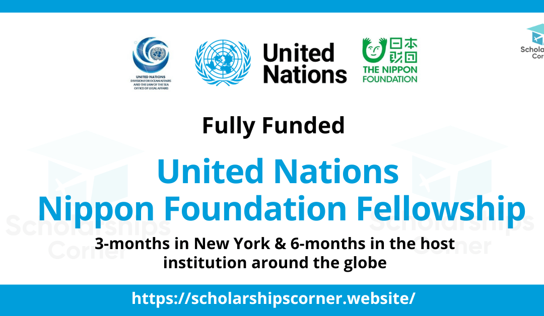 United Nations Nippon Foundation Fellowship 2024 | Fully Funded