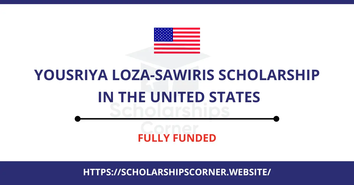 Yousriya Loza-Sawiris Scholarship, usa scholarship, scholarships in usa
