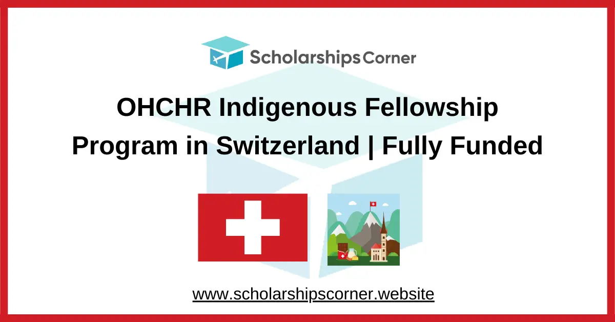 United Nations fellowship, un fellowship