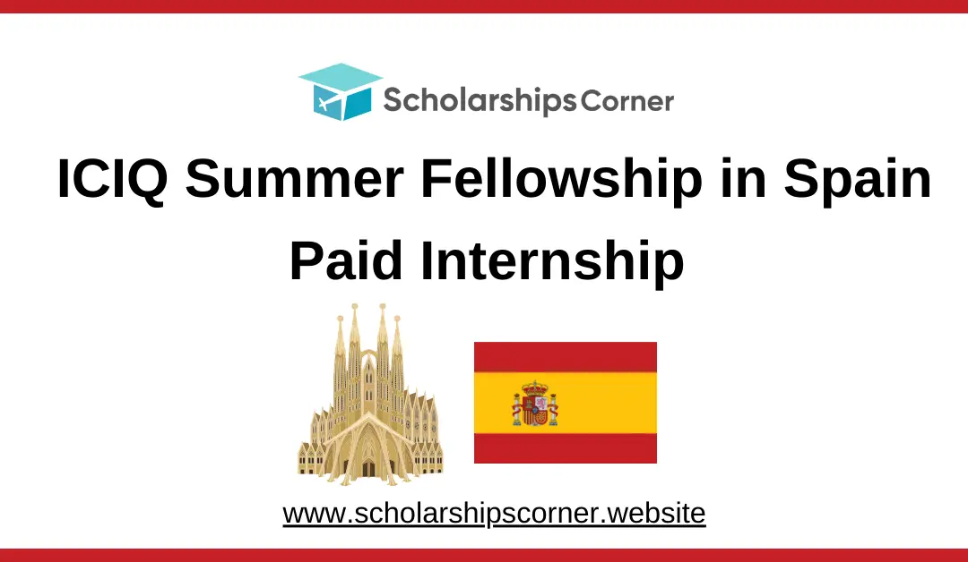 iciq summer internship, iciq fellowship, scholarships in spain