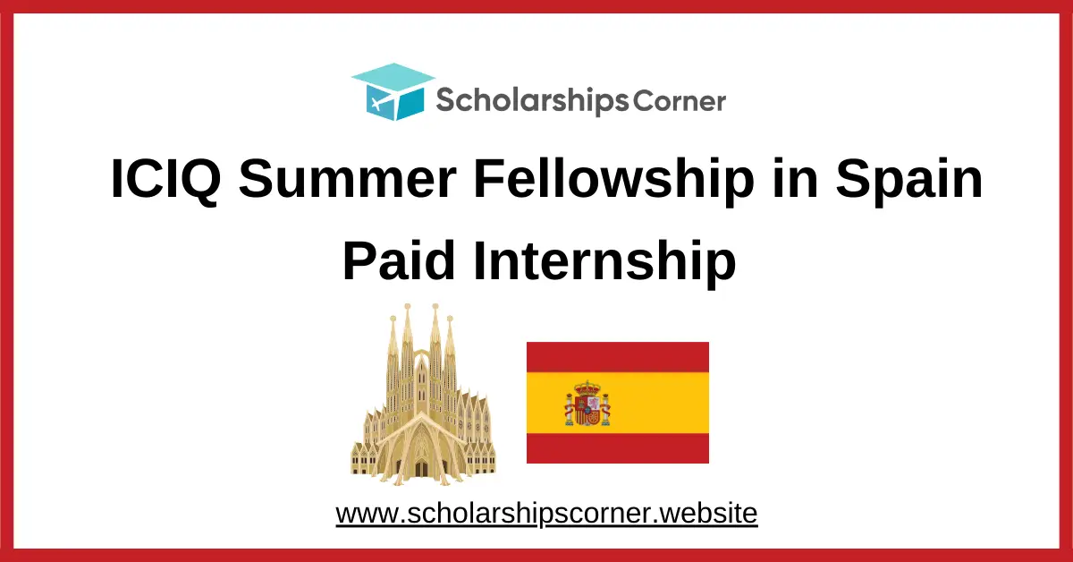 iciq summer internship, iciq fellowship, scholarships in spain