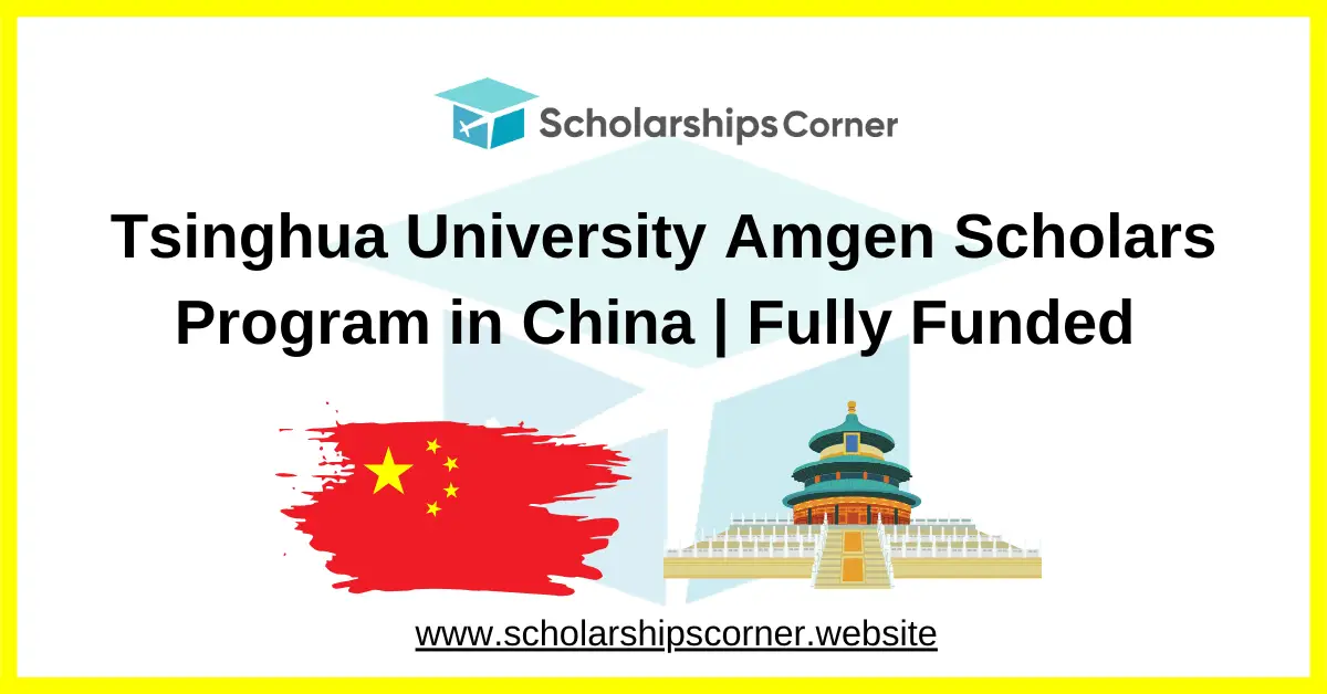 Tsinghua University scholarship, Tsinghua University internship