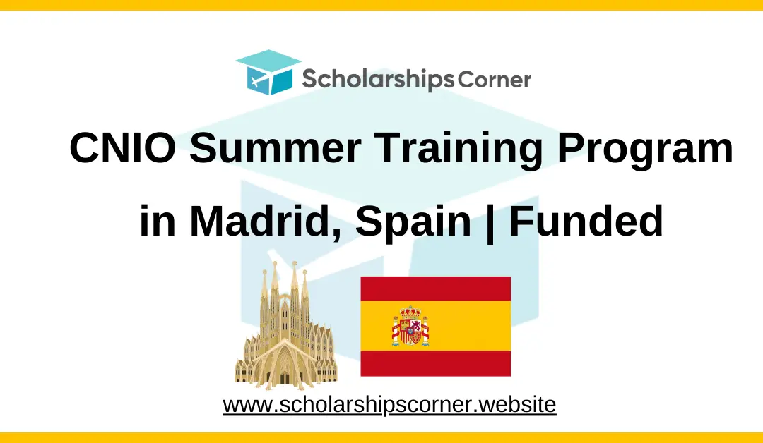 cino training progrm, cino internship, cino summer school