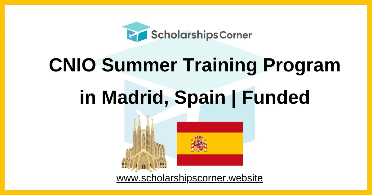 cino training progrm, cino internship, cino summer school