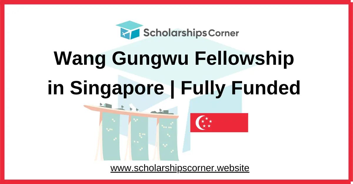 Wang Gungwu Fellowship , singapore fellowship