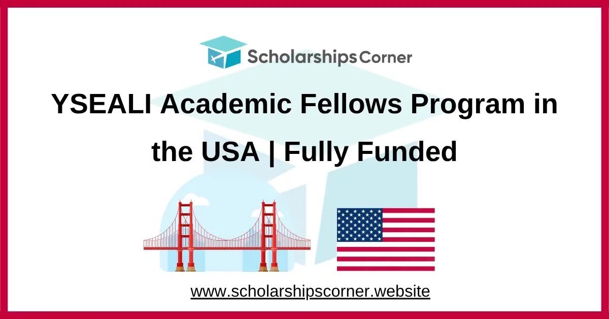 YSEALI Academic Fellows Program, youth fellowship