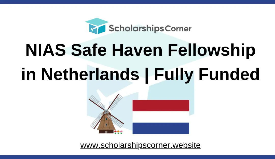 NIAS Safe Haven Fellowship, fully funded fellowship