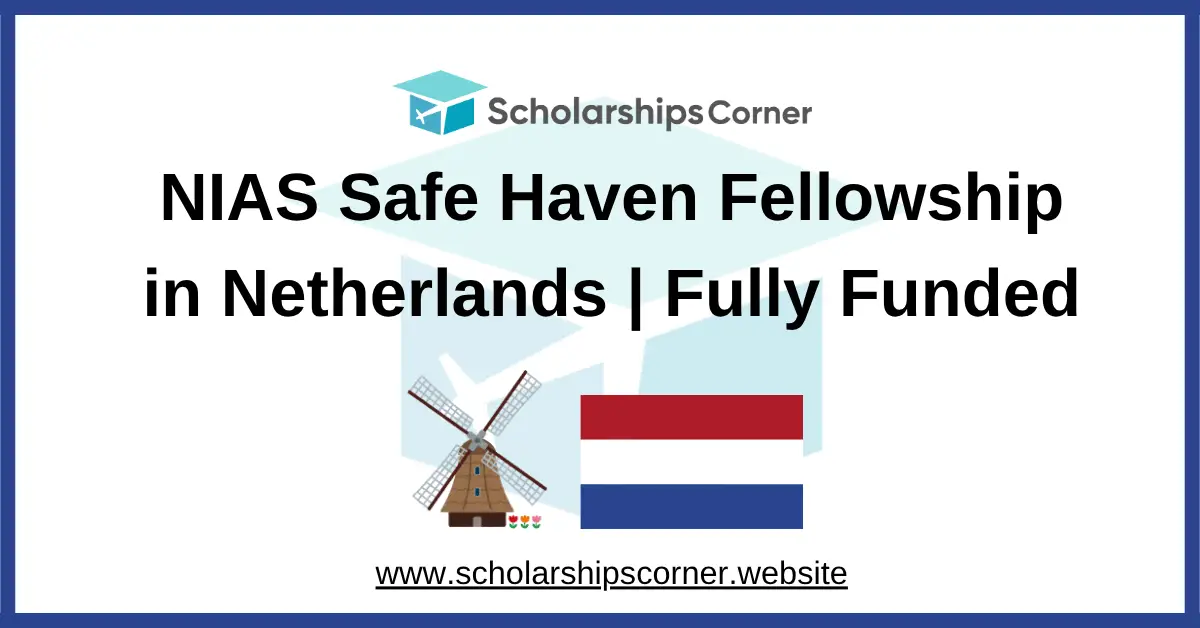 NIAS Safe Haven Fellowship In Netherlands Fully Funded