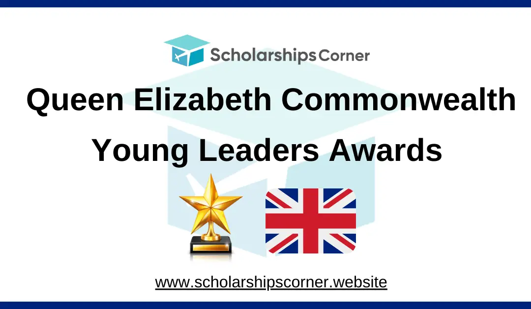 Commonwealth Young Leaders Awards, commonwealth award