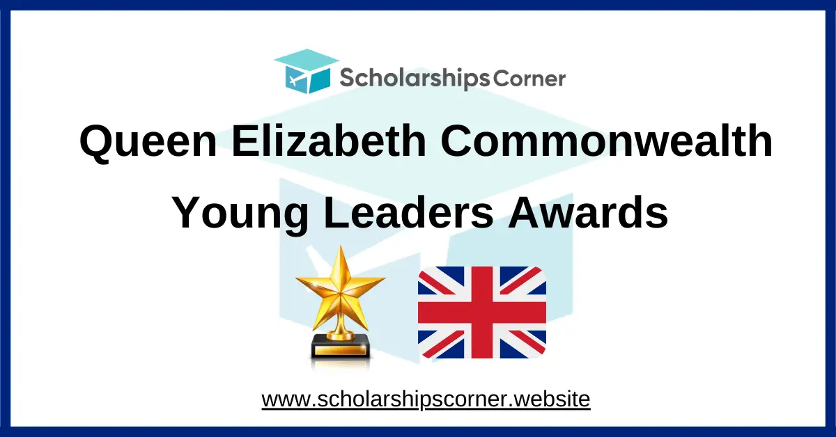 Commonwealth Young Leaders Awards, commonwealth award