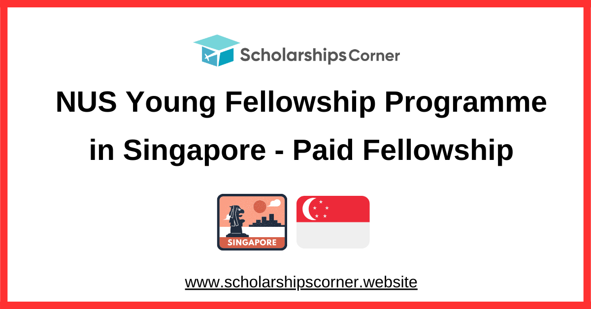 NUS Young Fellowship Programme
