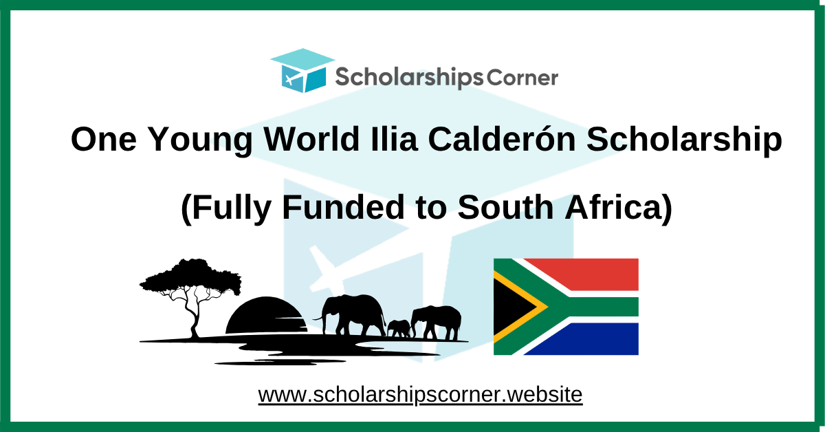 one young world summit, one world summit scholarship, youth summit south africa
